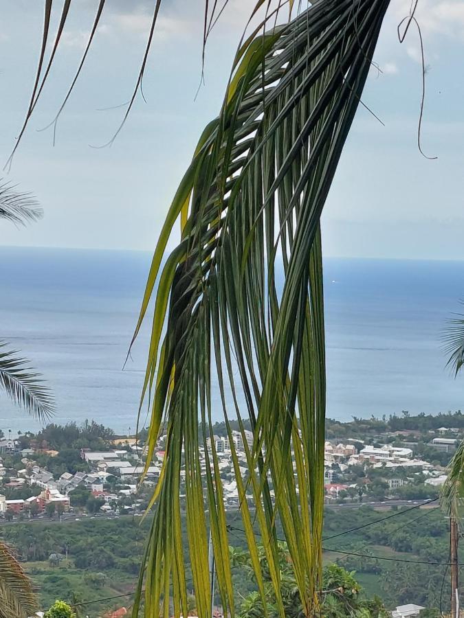 Nidamour, Un Logement Fait Pour Vous Saint-Paul Buitenkant foto